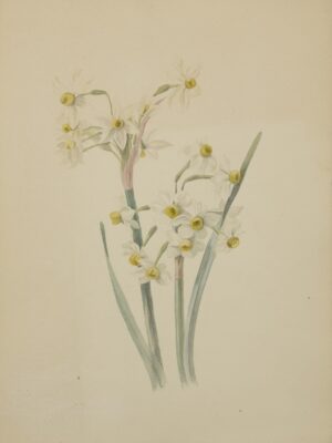 Representation of a plant, late 19th century (No. 2)