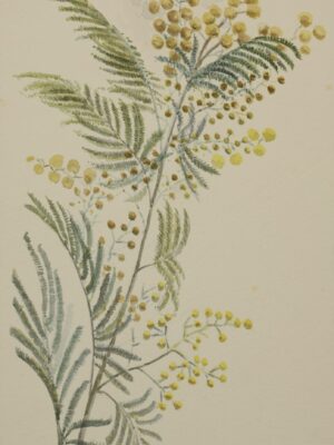Representation of a plant, late 19th century (No. 1)