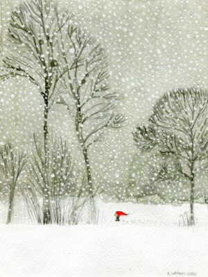 View from the window