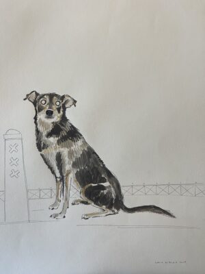 Dogs from Amsterdam No. 10