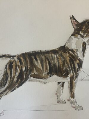 Dogs from Amsterdam No. 12