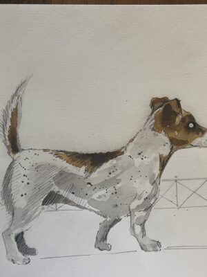 Dogs from Amsterdam No. 14