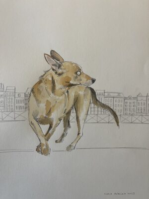 Dogs from Amsterdam No. 15