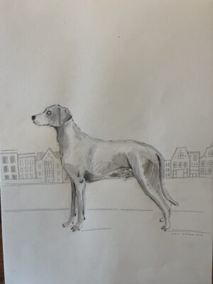 Dogs from Amsterdam No. 2