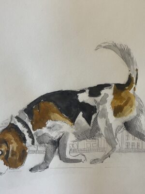 Dogs from Amsterdam No. 5