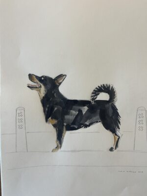 Dogs from Amsterdam No. 6