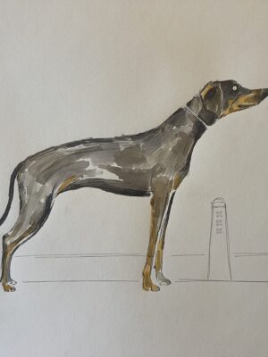 Dogs from Amsterdam No. 7