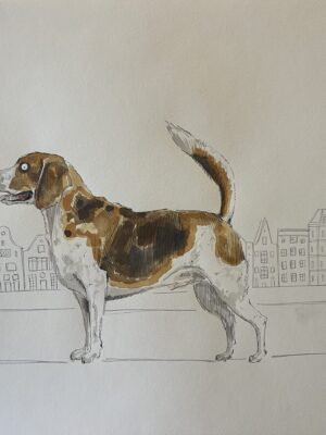 Dogs from Amsterdam No. 8