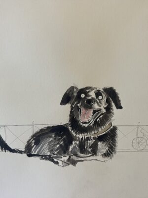 Dogs from Amsterdam No. 9