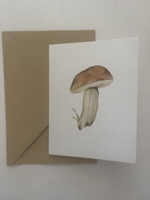 Boletus edulis Bull.