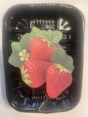 Strawberry Notebook