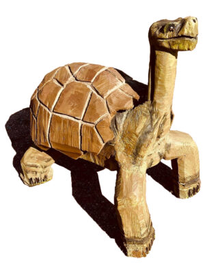 Steppe Tortoise